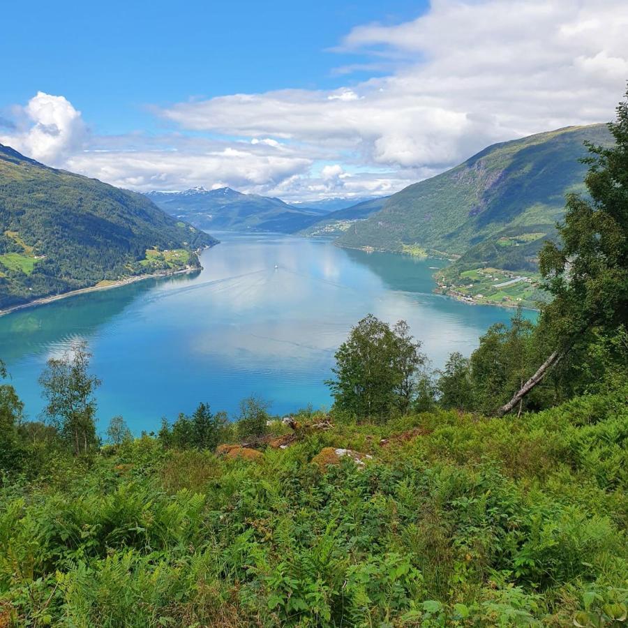 Panorama *
